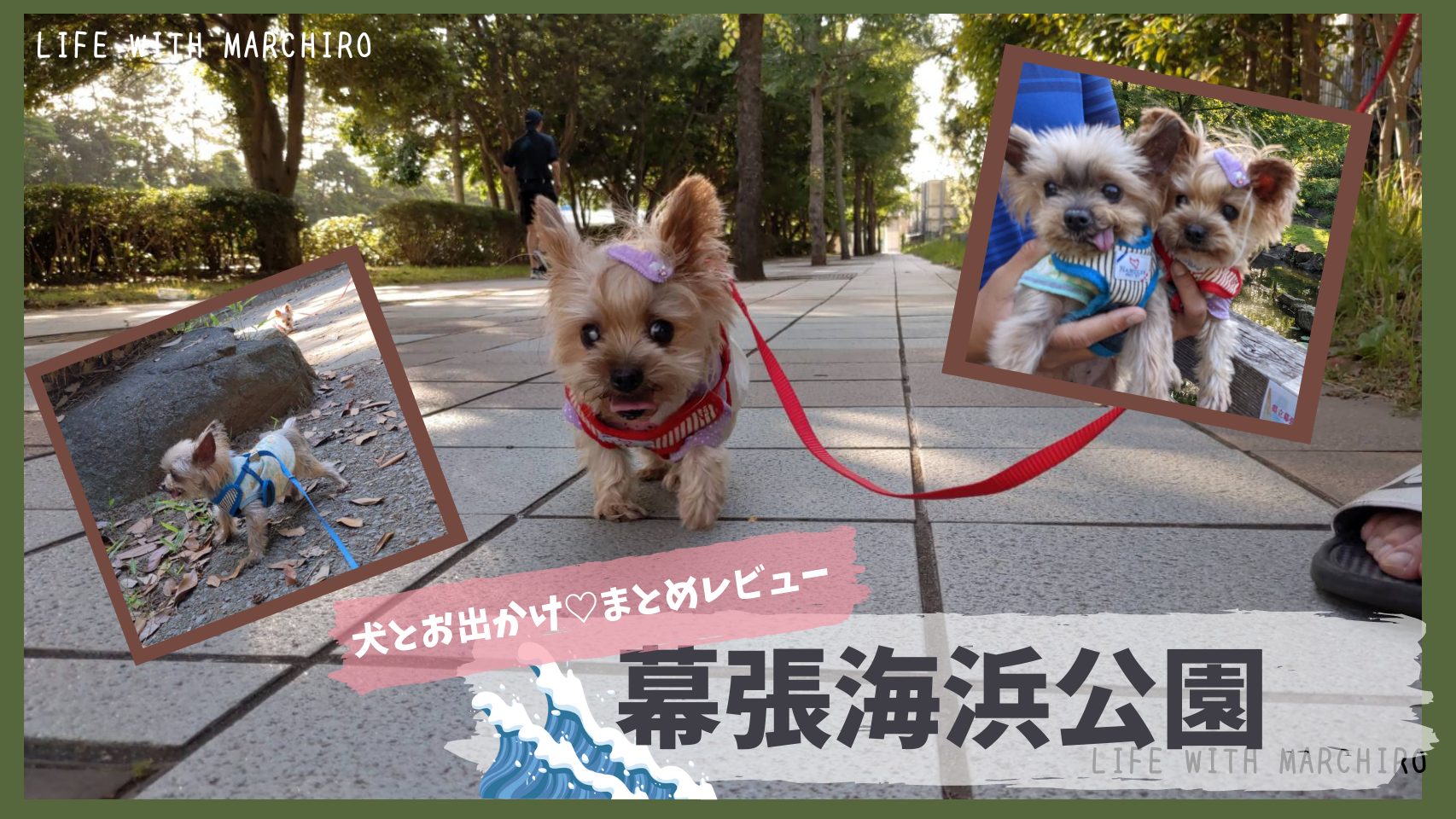 犬とお出かけ 千葉県立 幕張海浜公園 まとめレビュー 21年6月16日まーちろとのキロク Life With Marchiro