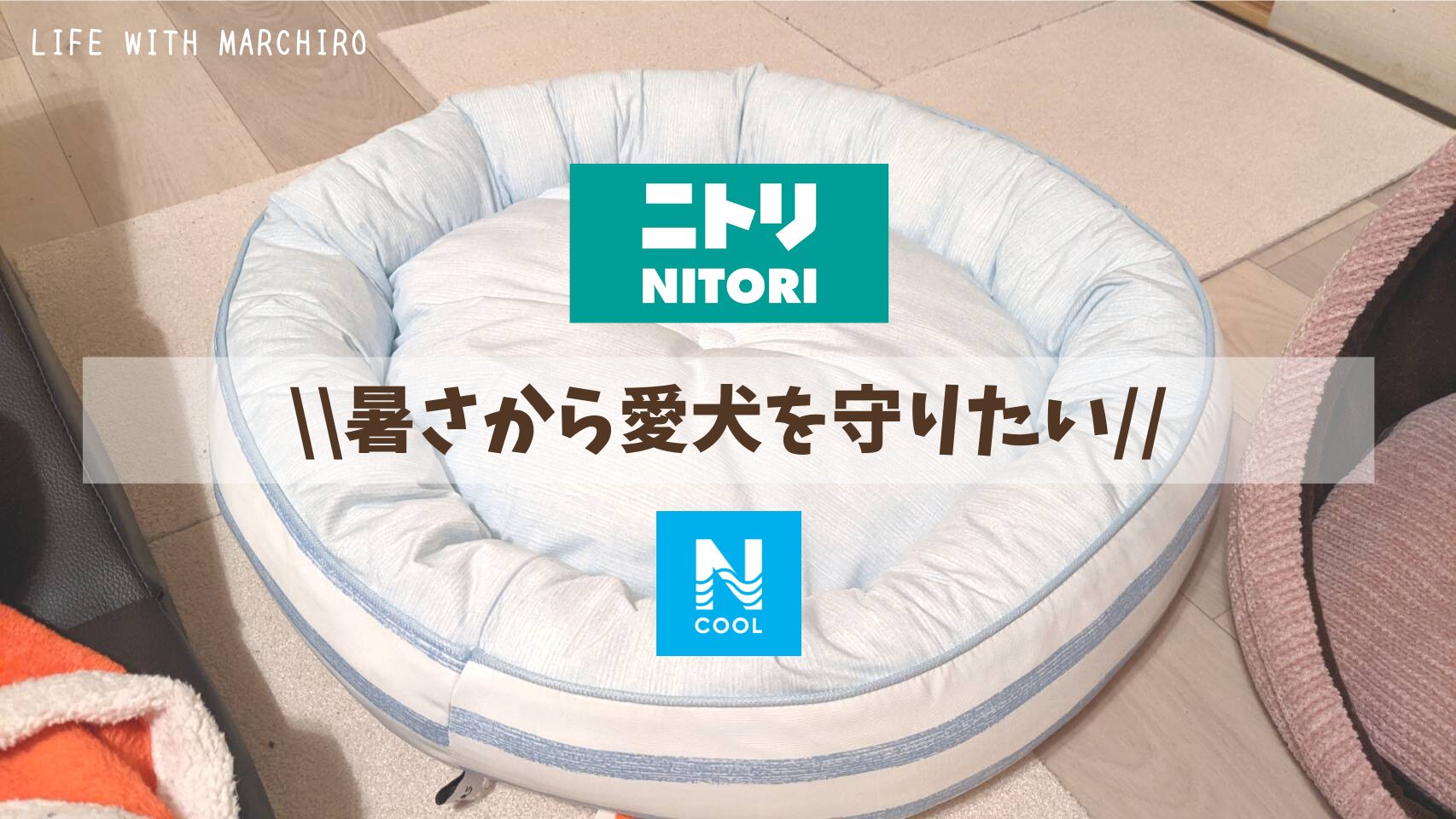 ニトリ Nクール ペットベッド 暑さから愛犬を守りたい 購入品紹介 レビュー 21年7月19日まーちろとのキロク Life With Marchiro